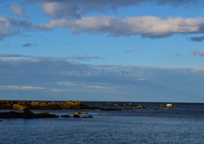 Cullercoats Bay 4