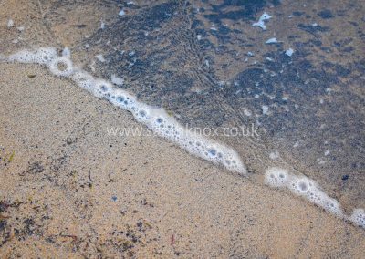 Cullercoats Bay 5