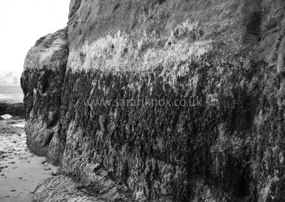Cullercoats Bay 6