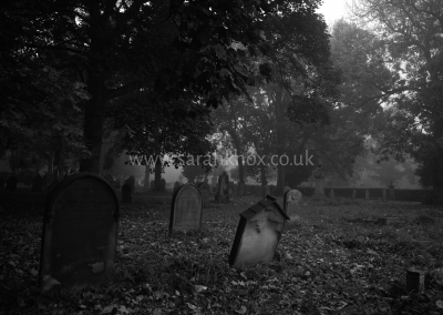Preston (1)