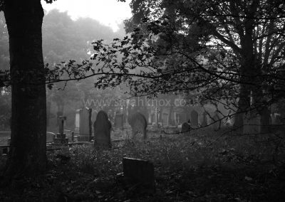Preston (25)