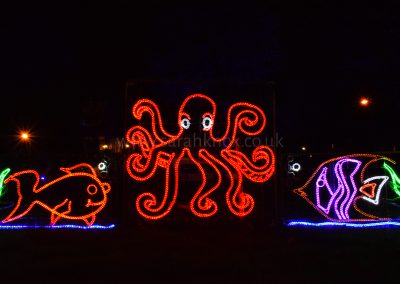 Sunderland Illuminations