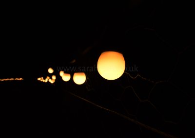 12 Watermark
