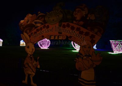 13 - SI Watermark