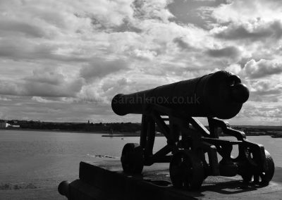 14 - TM Watermark