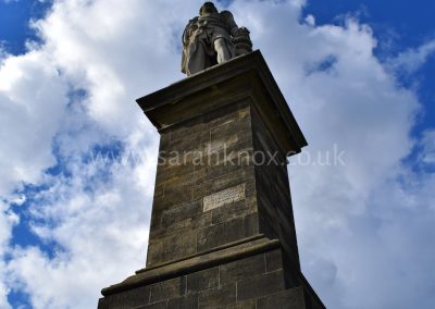 15 - TM Watermark
