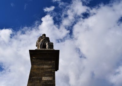 17 - TM Watermark