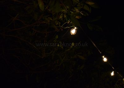 3 Watermark