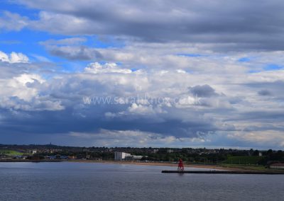8 - TM Watermark