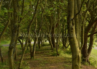 Druridge Bay WM 11