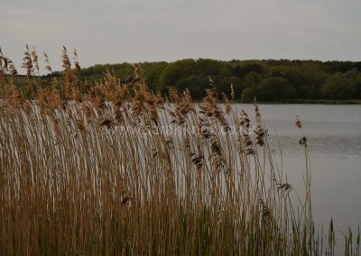 Druridge Bay WM 17